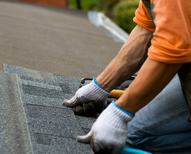 Best New Roof Installation  in Oak Harbor, OH
